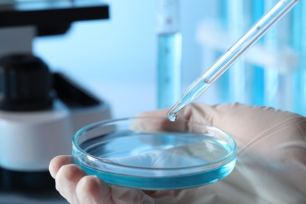 Petrischale gefüllt mit Flüssigkeit